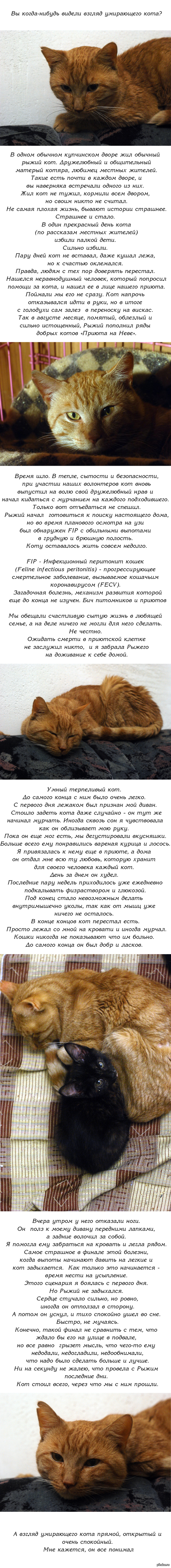 Наркотики заказать