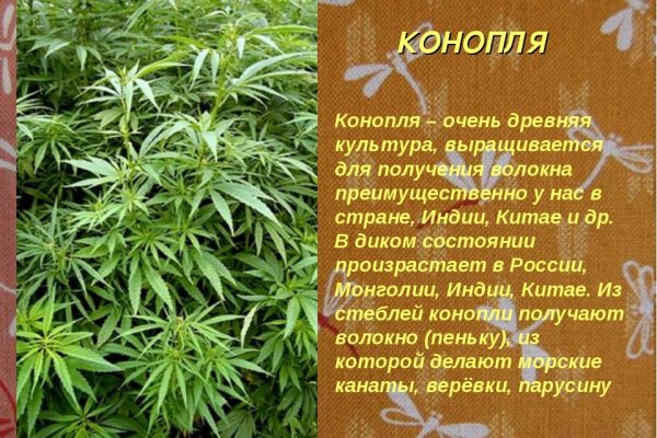 Магазин кракен как попасть