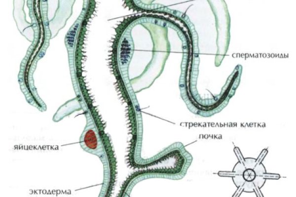 Кракен маркетплейс почему не закроют