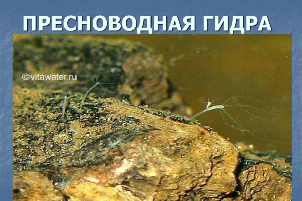 Кракен сайт ссылка онлайн