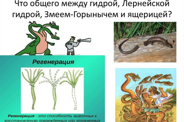 Кракен вход магазин