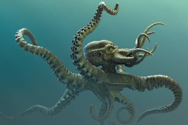 Kraken19 at