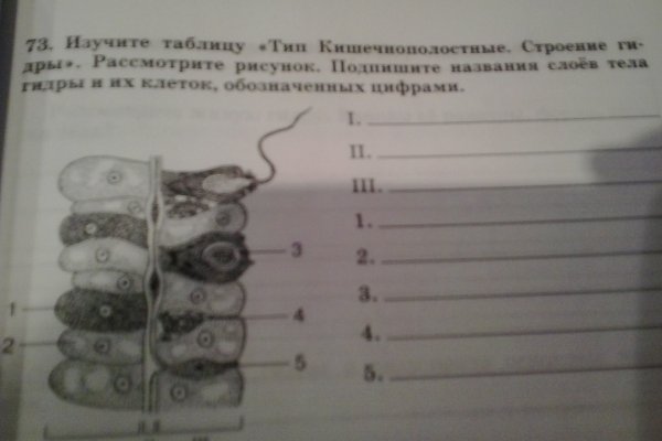 Спрут мега кракен