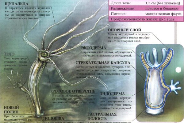 Кракен сайт даркнет ссылка