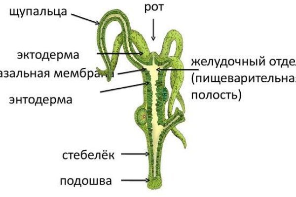 Ссылка на кракен маркет