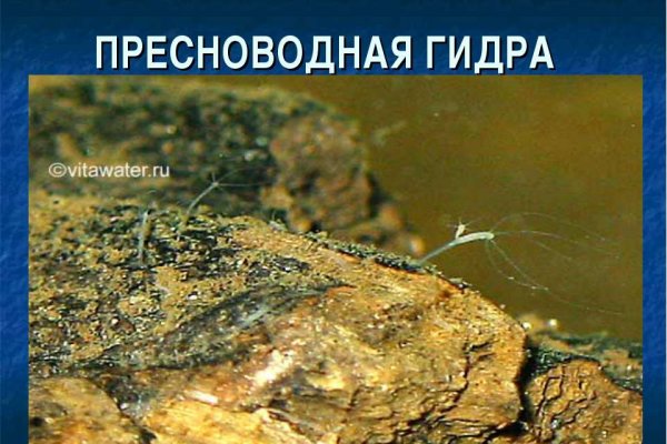 Кракен маркет онион