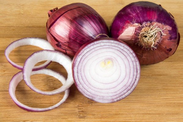 Даркнет сайт скачать