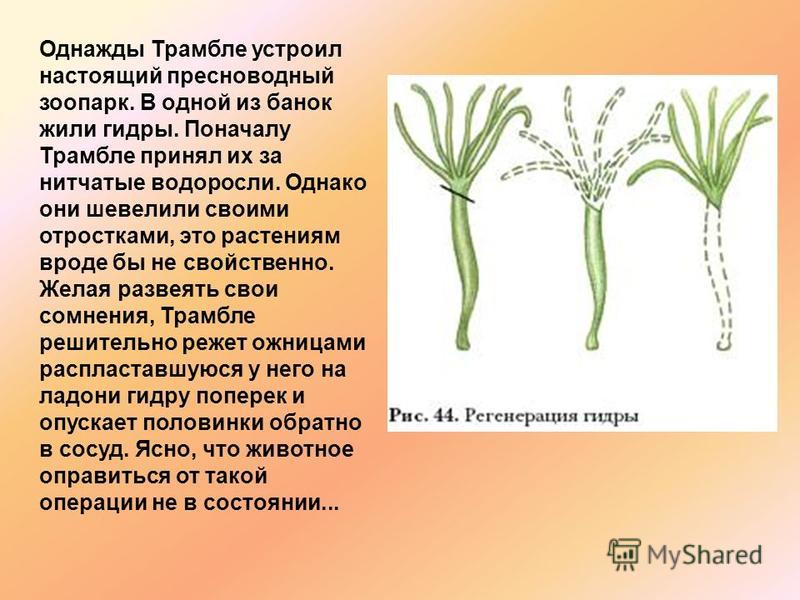 Пользователь не найден при входе на кракен